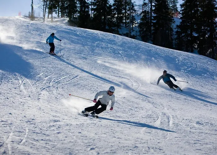 Aateli Lakeside - Former Vuokatti